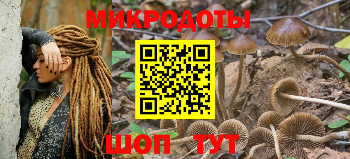 Губаха  Псилоцибиновые грибы Psilocybine cubensis  где продают   Вход с VPN  Галлюциногенные грибы Cubensis 
