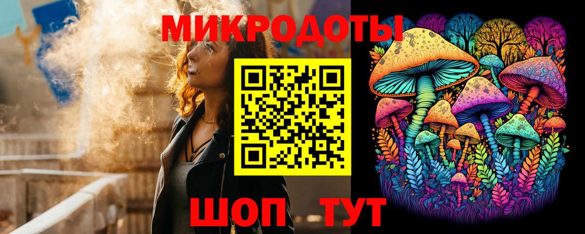 Псилоцибиновые грибы прущие грибы Губаха